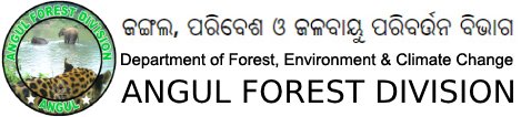 DFO Angul Logo
